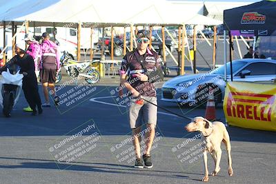 media/Apr-15-2022-Apex Assassins (Fri) [[9fb2e50610]]/Around the Pits/